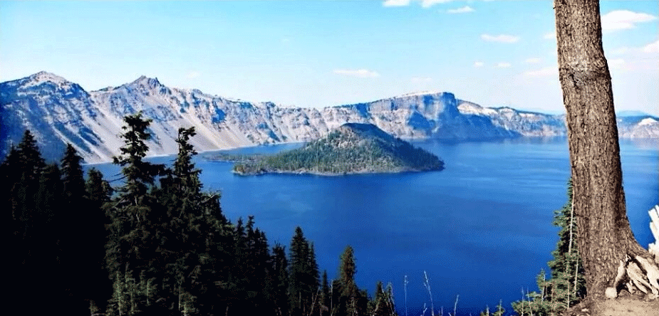 Acid GIFs, August 28 (25 gifs)