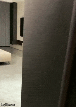Acid GIFs, August 28 (25 gifs)