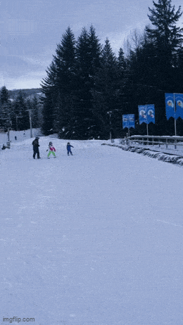 Acid GIFs, August 28 (25 gifs)