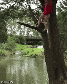 Acid GIFs, August 28 (25 gifs)