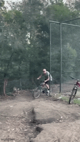 Acid GIFs, August 28 (25 gifs)
