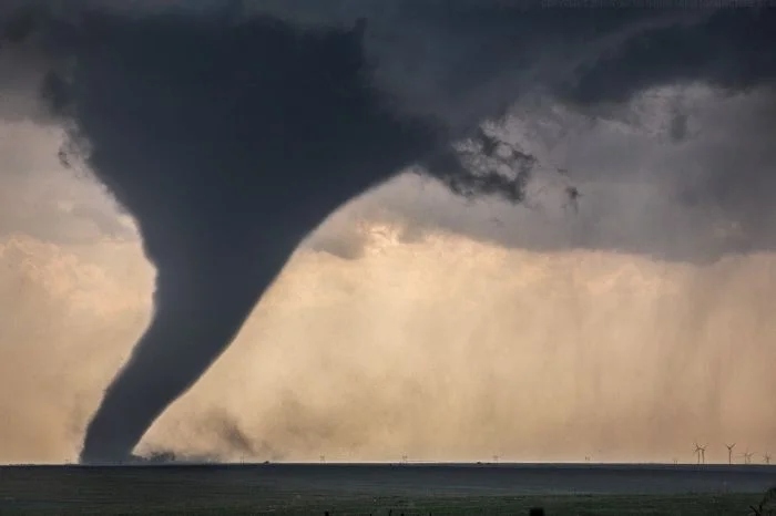 Giant Things (25 pics)
