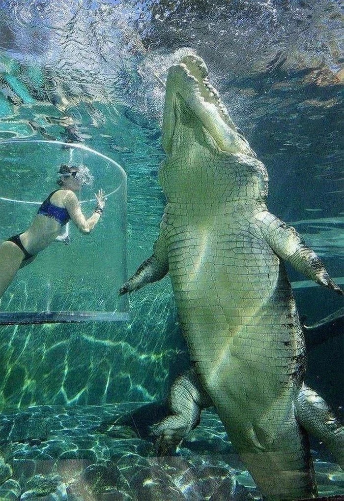 Giant Things (25 pics)