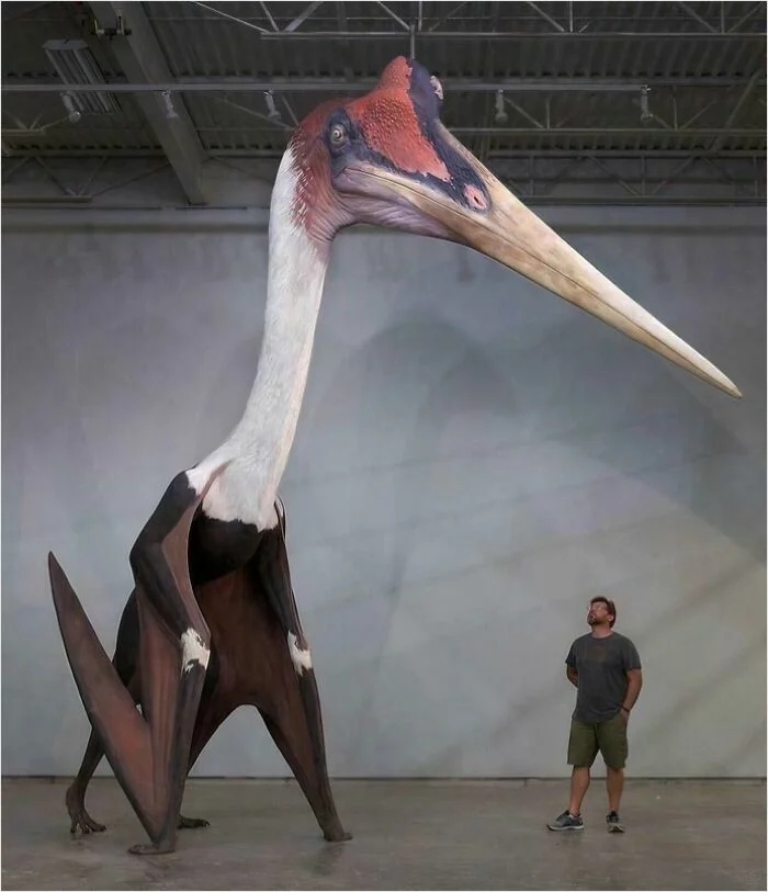 Giant Things (25 pics)