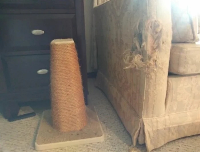 It's Annoying (23 pics)