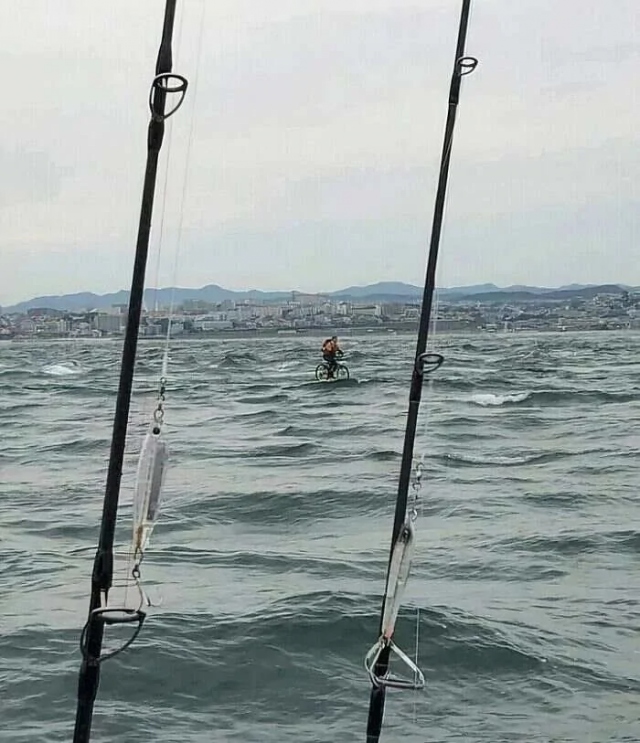 What Is Going On Here? (19 pics) What Is Going On Here? (19 pics)
