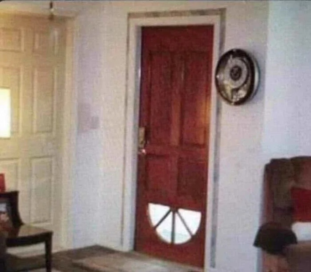 What Is Going On Here? (19 pics) What Is Going On Here? (19 pics)