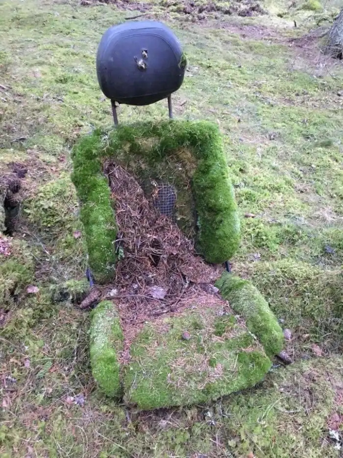 Unexpected Finds In The Woods (19 pics) Unexpected Finds In The Woods (19 pics)