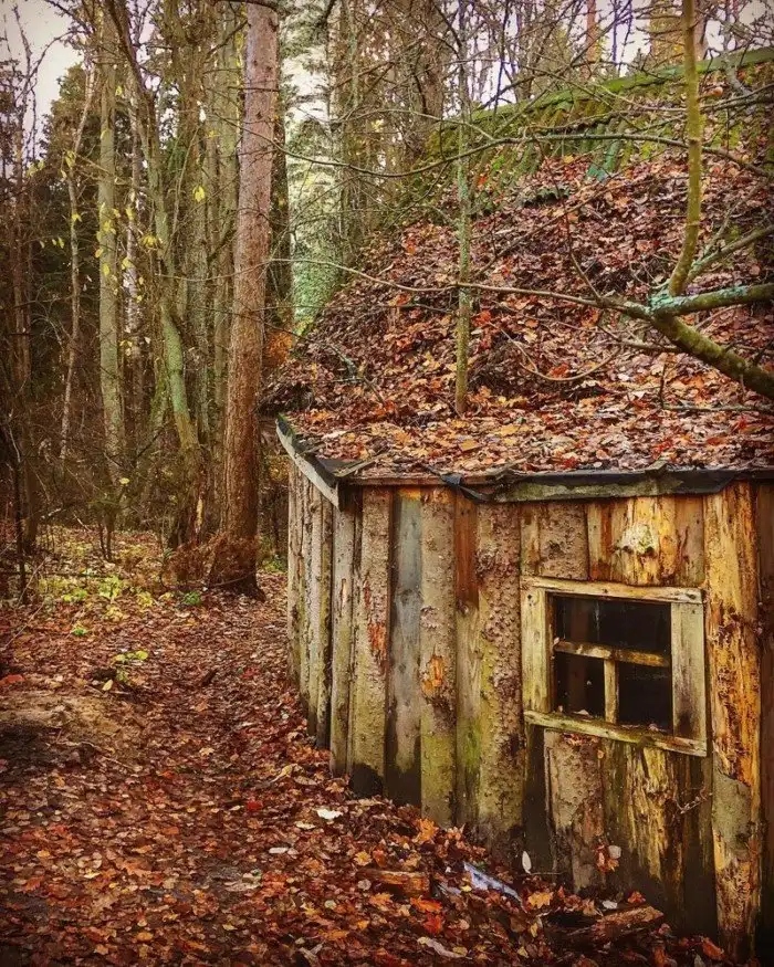 Unexpected Finds In The Woods (19 pics) Unexpected Finds In The Woods (19 pics)