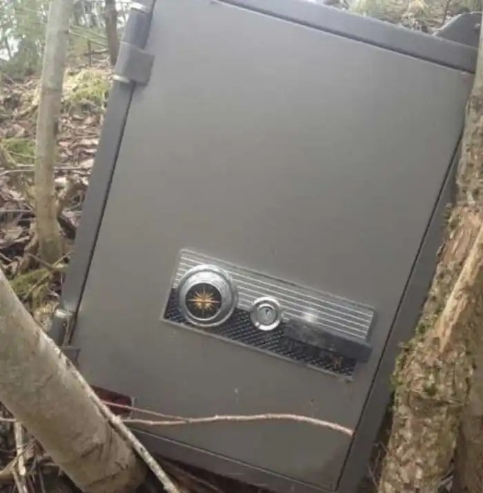 Unexpected Finds In The Woods (19 pics) Unexpected Finds In The Woods (19 pics)