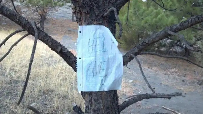Unexpected Finds In The Woods (19 pics) Unexpected Finds In The Woods (19 pics)