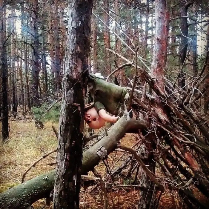 Unexpected Finds In The Woods (19 pics) Unexpected Finds In The Woods (19 pics)