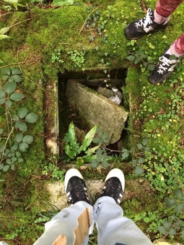 Unexpected Finds In The Woods (19 pics) Unexpected Finds In The Woods (19 pics)