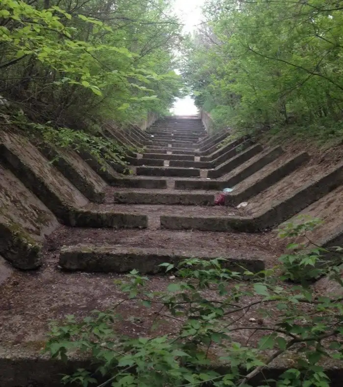 Unexpected Finds In The Woods (19 pics) Unexpected Finds In The Woods (19 pics)