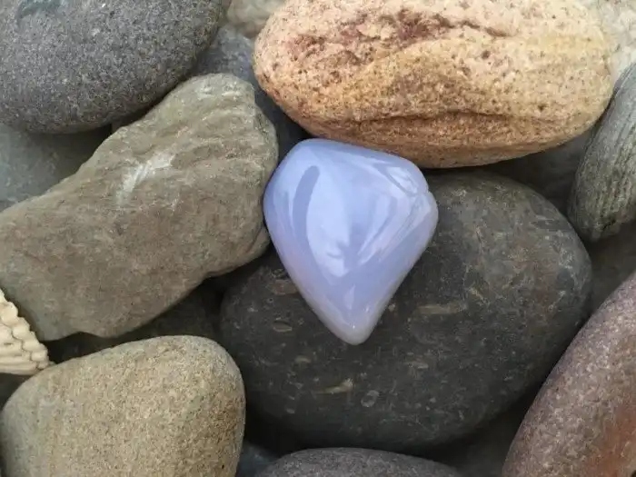 Unexpected Finds In The Woods (19 pics)