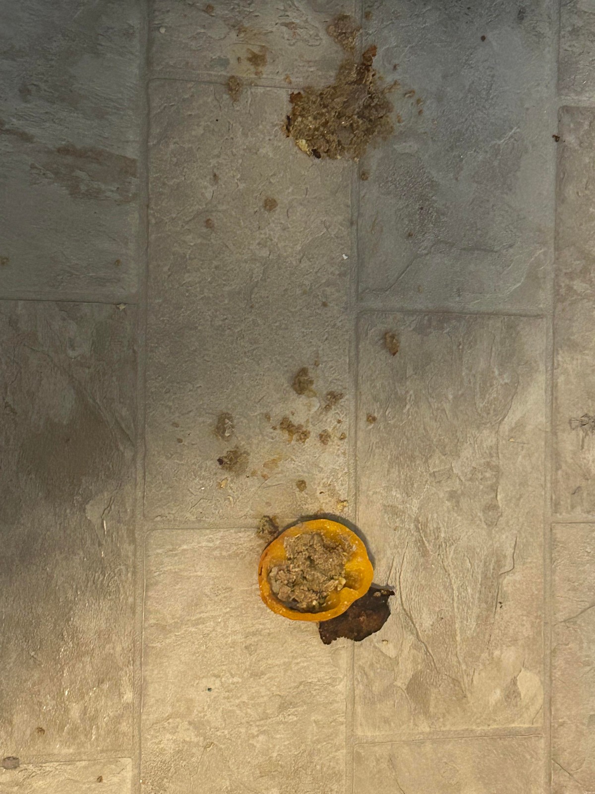 Bad Days Happen (23 pics)