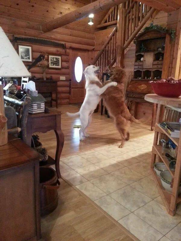 Daily Pictures. Part 2 (75 pics)
