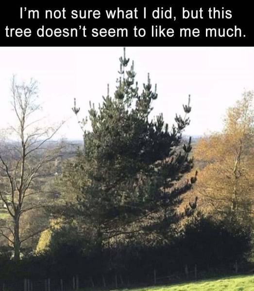 Daily Pictures. Part 2 (75 pics)