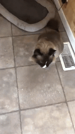 Acid GIFs, August 31 (25 gifs)