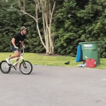 Acid GIFs, August 31 (25 gifs)