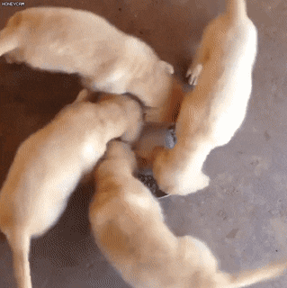 Acid GIFs, August 31 (25 gifs)