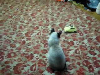 Acid GIFs, August 31 (25 gifs)