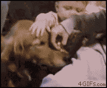 Acid GIFs, August 31 (25 gifs)