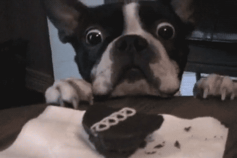 Acid GIFs, August 31 (25 gifs)