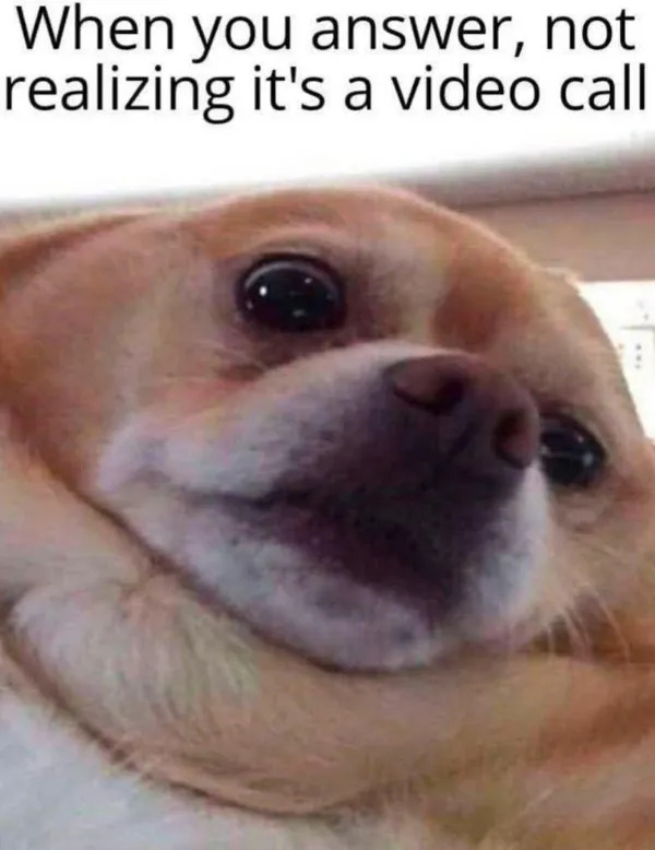 Funny Memes (23 pics) Funny Memes (23 pics)