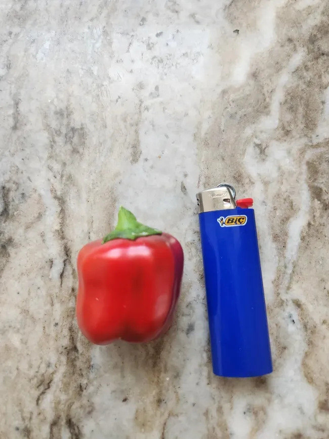 Miniature Harvest (19 pics)
