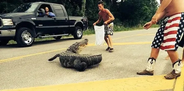 Unfortunate Situations (21 pics) Unfortunate Situations (21 pics)