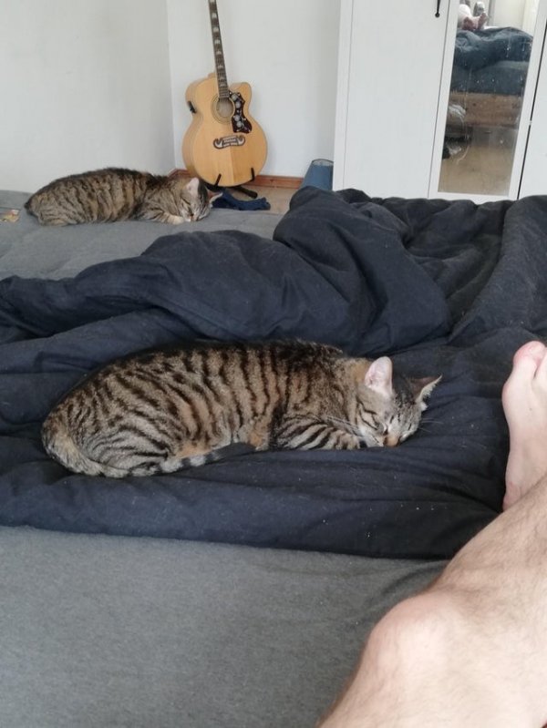 Glitches In The Matrix (18 pics)