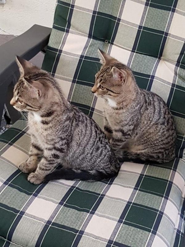 Glitches In The Matrix (18 pics)