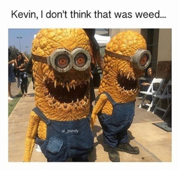 Daily Pictures. Part 2 (76 pics)