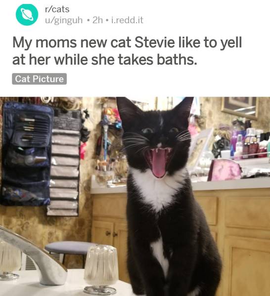 Daily Pictures. Part 2 (76 pics)