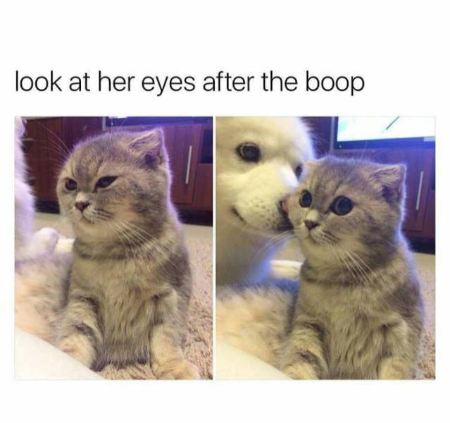 Daily Pictures. Part 2 (76 pics)