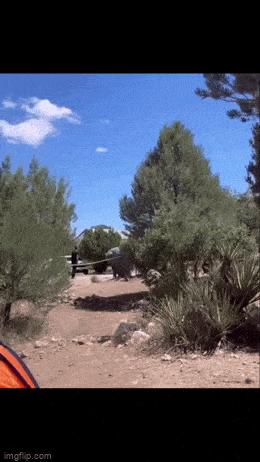 Acid GIFs, September 1 (25 gifs) Acid GIFs, September 1 (25 gifs)
