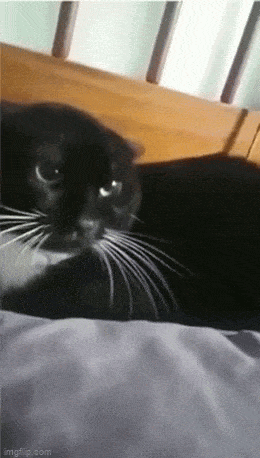 Acid GIFs, September 1 (25 gifs) Acid GIFs, September 1 (25 gifs)