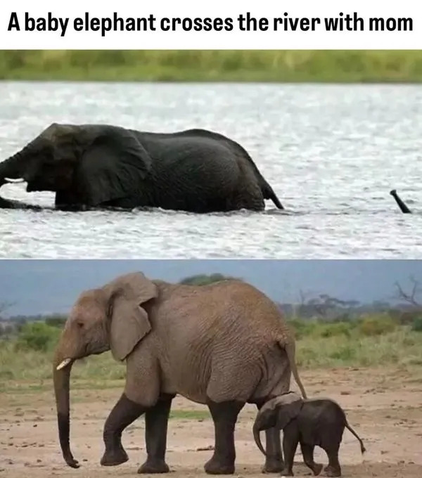 Funny Memes (21 pics)