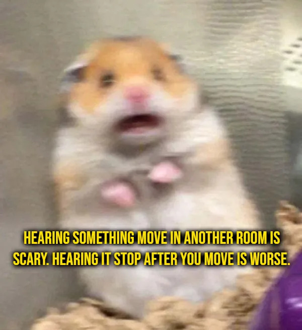 Weird Thoughts (16 pics)