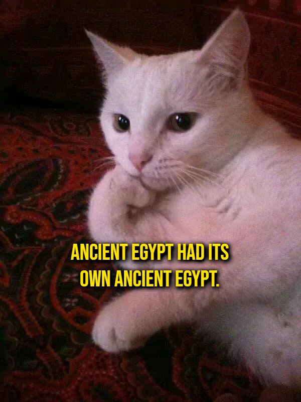 Weird Thoughts (16 pics)