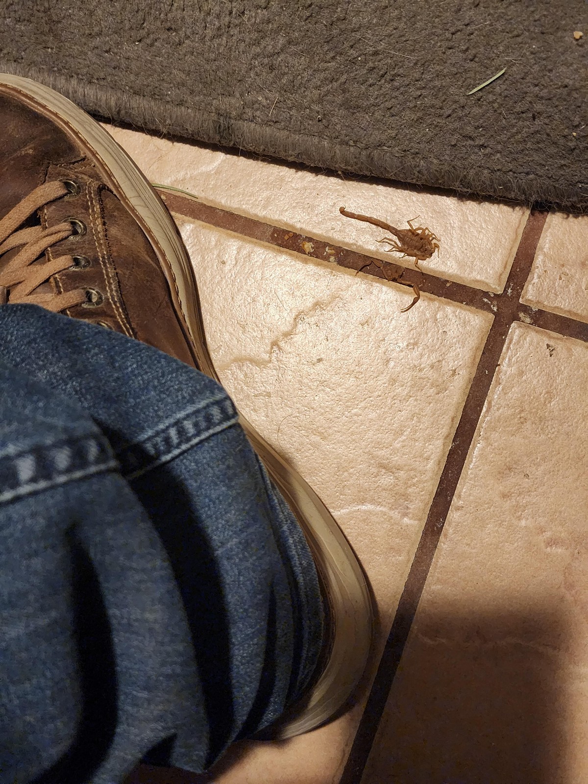Unfortunate Situations (25 pics)