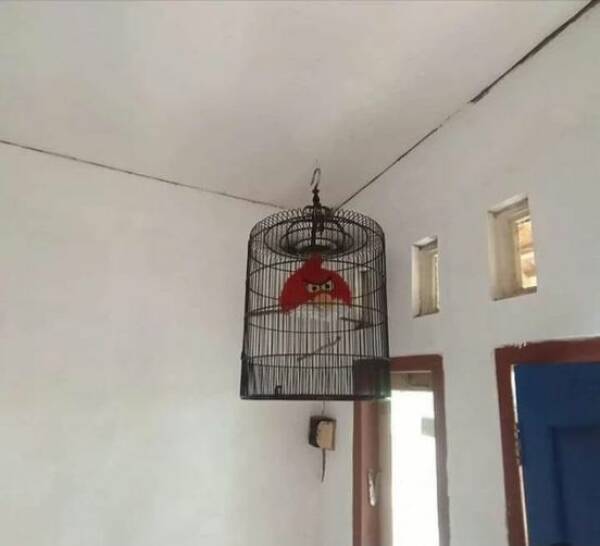Daily Pictures. Part 1 (76 pics)