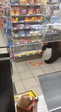 1788269891_3.gif