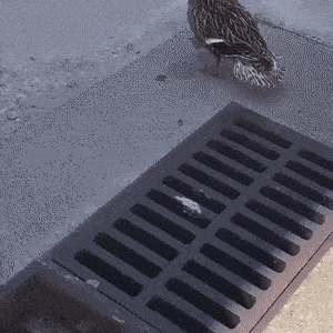 1788269900_19.gif
