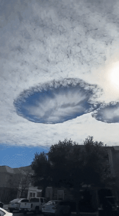 Acid GIFs, September 2 (25 gifs) Acid GIFs, September 2 (25 gifs)