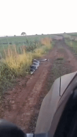 1788269922_13.gif