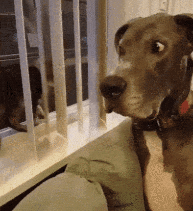 Acid GIFs, September 2 (25 gifs) Acid GIFs, September 2 (25 gifs)