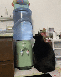 Acid GIFs, September 2 (25 gifs) Acid GIFs, September 2 (25 gifs)