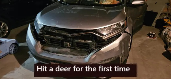 Bad Days Happen (21 pics) Bad Days Happen (21 pics)